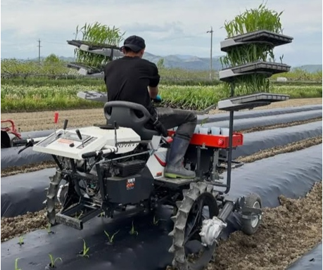 日本甜菜製糖㈱ひっぱりくん